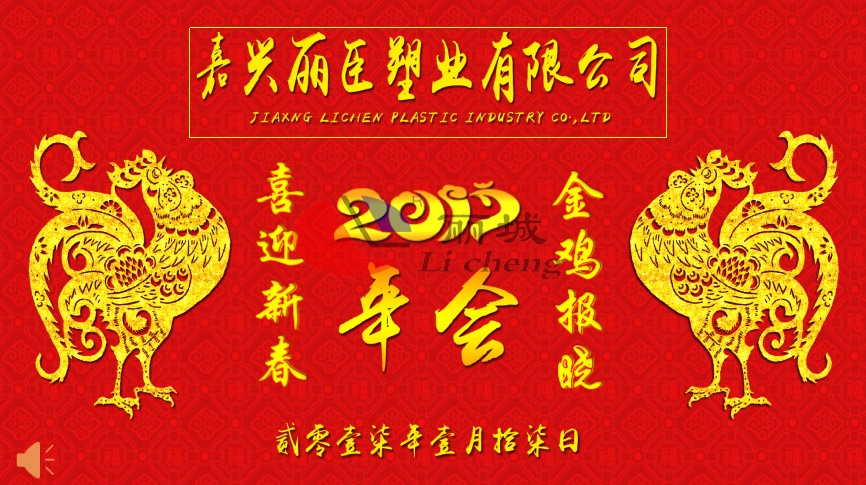 麗臣塑業(yè)2017年會